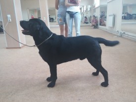 image.jpg (415.46 КБ, Просмотров: 6207) image.jpg