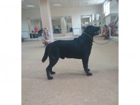 image.jpg (296.01 КБ, Просмотров: 5630) image.jpg