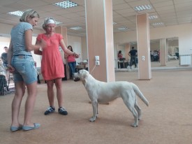 image.jpg (443.43 КБ, Просмотров: 5615) image.jpg