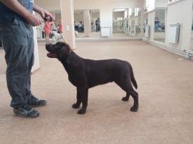 image.jpg (391.35 КБ, Просмотров: 6194) image.jpg