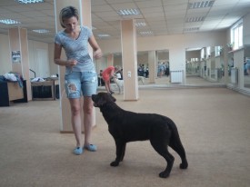 image.jpg (400.44 КБ, Просмотров: 5618) image.jpg