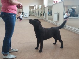 image.jpg (442.65 КБ, Просмотров: 5864) image.jpg