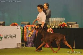 3551946.jpg (13.83 КБ, Просмотров: 35722) 3551946.jpg