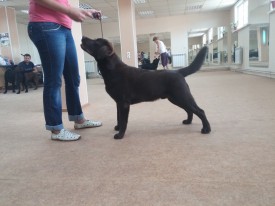 image.jpg (452.39 КБ, Просмотров: 5630) image.jpg