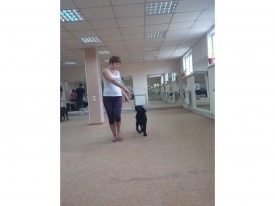 image.jpg (260.47 КБ, Просмотров: 5609) image.jpg