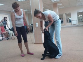 image.jpg (305.99 КБ, Просмотров: 5358) image.jpg