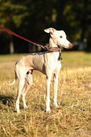 908424175.jpg (62.49 КБ, Просмотров: 1985) 908424175.jpg