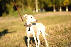 908424107.jpg (121.12 КБ, Просмотров: 1985) 908424107.jpg