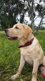 UKWz3h-LS8c.jpg (78.44 КБ, Просмотров: 4310) UKWz3h-LS8c.jpg