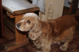 DYgjoGSDv7s.jpg (100.87 КБ, Просмотров: 1529) DYgjoGSDv7s.jpg