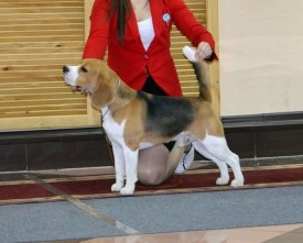 2-nK7frarfo.jpg (67.99 КБ, Просмотров: 4689) 2-nK7frarfo.jpg