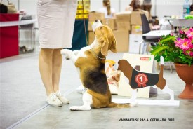 zLwtKB0CJrw.jpg (78.75 КБ, Просмотров: 4296) zLwtKB0CJrw.jpg