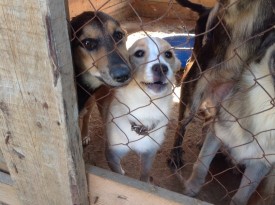 0ERK3Okxmcg.jpg (121.72 КБ, Просмотров: 9138) 0ERK3Okxmcg.jpg