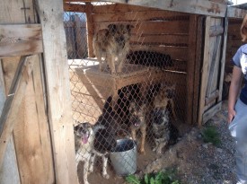 1JIp1Zaz0Bk.jpg (147.19 КБ, Просмотров: 8957) 1JIp1Zaz0Bk.jpg