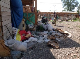 gT9zJfH2O60.jpg (150.87 КБ, Просмотров: 9482) gT9zJfH2O60.jpg