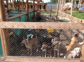 VngEYyBG7OI.jpg (196.32 КБ, Просмотров: 9481) VngEYyBG7OI.jpg