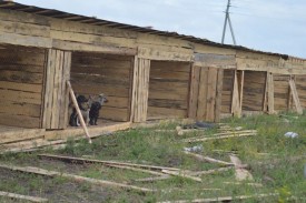 getImage.jpg (58.43 КБ, Просмотров: 9857) getImage.jpg