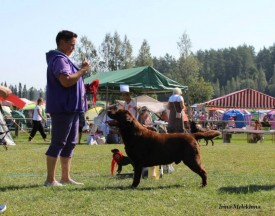 10559763_251691748374979_2812281677920695240_n.jpg (98.51 КБ, Просмотров: 5539) 10559763_251691748374979_2812281677920695240_n.jpg