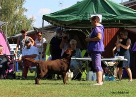 10590553_251689321708555_6064307686781910867_n.jpg (99.92 КБ, Просмотров: 4804) 10590553_251689321708555_6064307686781910867_n.jpg