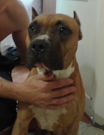 ctaff.jpg (238.27 КБ, Просмотров: 1668) ctaff.jpg