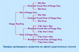outbreeding.jpg (42.82 КБ, Просмотров: 4214) outbreeding.jpg