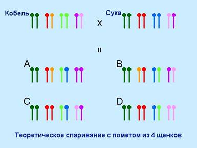 gen__clip_image002.jpg (11.3 КБ, Просмотров: 4214) gen__clip_image002.jpg