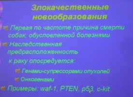 i0040rp.jpg (18.6 КБ, Просмотров: 4386) i0040rp.jpg