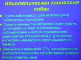 i0043rp.jpg (24.42 КБ, Просмотров: 4386) i0043rp.jpg