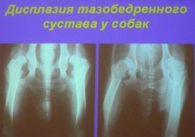 i0044rp.jpg (15.3 КБ, Просмотров: 4386) i0044rp.jpg