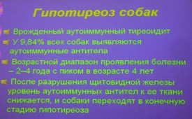 i0048rp.jpg (25.55 КБ, Просмотров: 4386) i0048rp.jpg