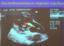 i0050rp.jpg (21.11 КБ, Просмотров: 4386) i0050rp.jpg