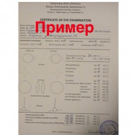 d4KAhIZO9es.jpg (67.63 КБ, Просмотров: 3338) d4KAhIZO9es.jpg