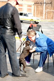 80af37fd4cfd.jpg (114.2 КБ, Просмотров: 5723) 80af37fd4cfd.jpg