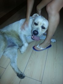 getImage (2).jpg (72.94 КБ, Просмотров: 2482) getImage (2).jpg