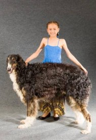 559697_229505530530502_388327414_n.jpg (24.15 КБ, Просмотров: 2036) 559697_229505530530502_388327414_n.jpg