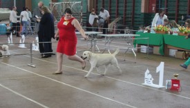 бег.jpg (492.56 КБ, Просмотров: 9923) бег.jpg