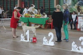 стойка.jpg (311.64 КБ, Просмотров: 9940) стойка.jpg