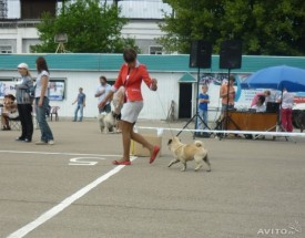 588070677.jpg (58.85 КБ, Просмотров: 12810) 588070677.jpg