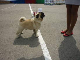 6fjZ45lr.jpg (210.93 КБ, Просмотров: 12118) 6fjZ45lr.jpg