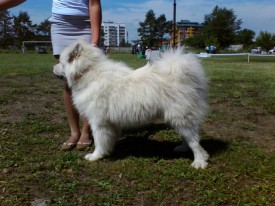 XlyR78XG.jpg (73.12 КБ, Просмотров: 12795) XlyR78XG.jpg