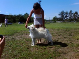 XlyR78XH.jpg (70.58 КБ, Просмотров: 12795) XlyR78XH.jpg