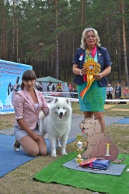 Dbzb2HYc.jpg (119.15 КБ, Просмотров: 12070) Dbzb2HYc.jpg