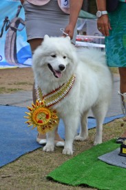 image (4).jpg (142.34 КБ, Просмотров: 12114) image (4).jpg