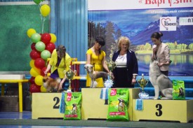 veBVk97z.jpg (130.15 КБ, Просмотров: 12115) veBVk97z.jpg