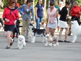 10tdQE5Bn.jpg (126.42 КБ, Просмотров: 12073) 10tdQE5Bn.jpg