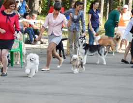 bmdN1Vmm.jpg (131.36 КБ, Просмотров: 12069) bmdN1Vmm.jpg