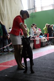 11k2tYmhf.jpg (249.31 КБ, Просмотров: 12068) 11k2tYmhf.jpg