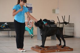 169kK9Wfj.jpg (105.12 КБ, Просмотров: 12109) 169kK9Wfj.jpg