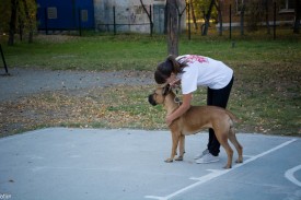 iAT9zCDubZs.jpg (211.22 КБ, Просмотров: 12802) iAT9zCDubZs.jpg