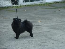 d2859ff39b47.jpg (62.36 КБ, Просмотров: 1296) d2859ff39b47.jpg